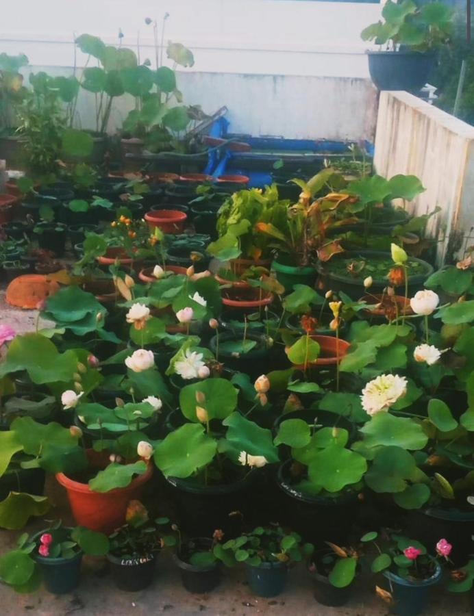 Raelyn'S Homestay Kochi 외부 사진