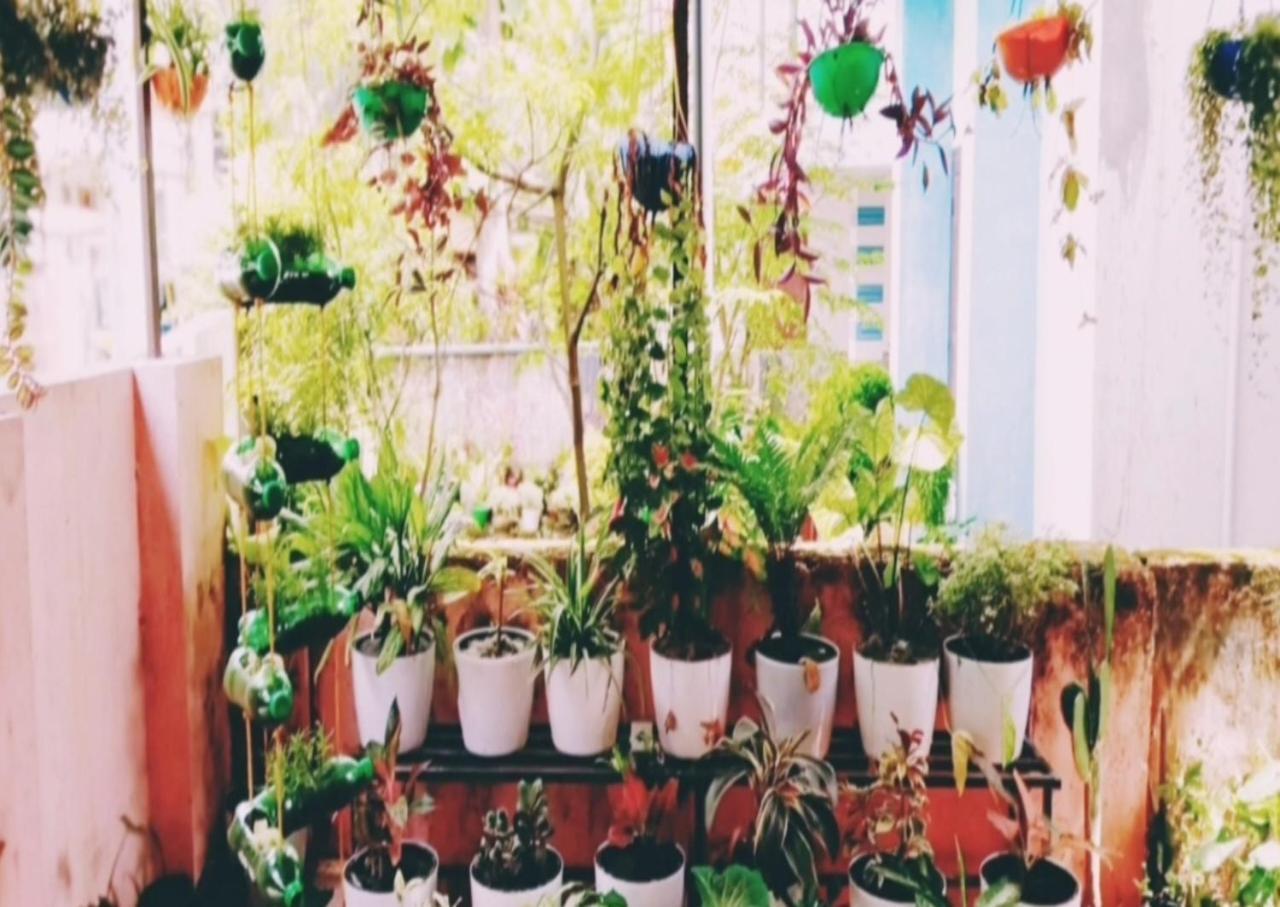Raelyn'S Homestay Kochi 외부 사진