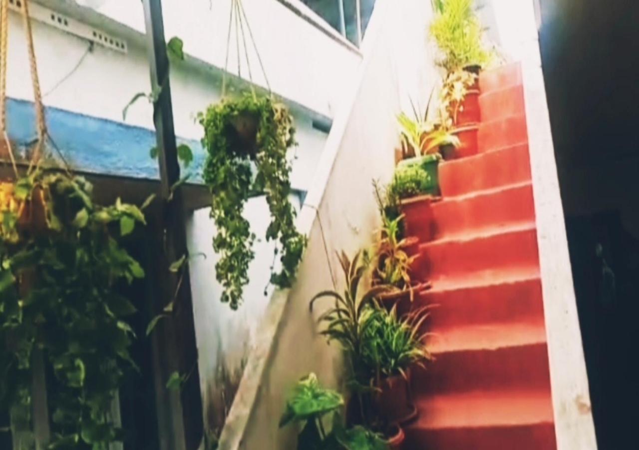 Raelyn'S Homestay Kochi 외부 사진